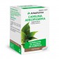 Camilina Arkopharma 300 mg 100 cápsulas